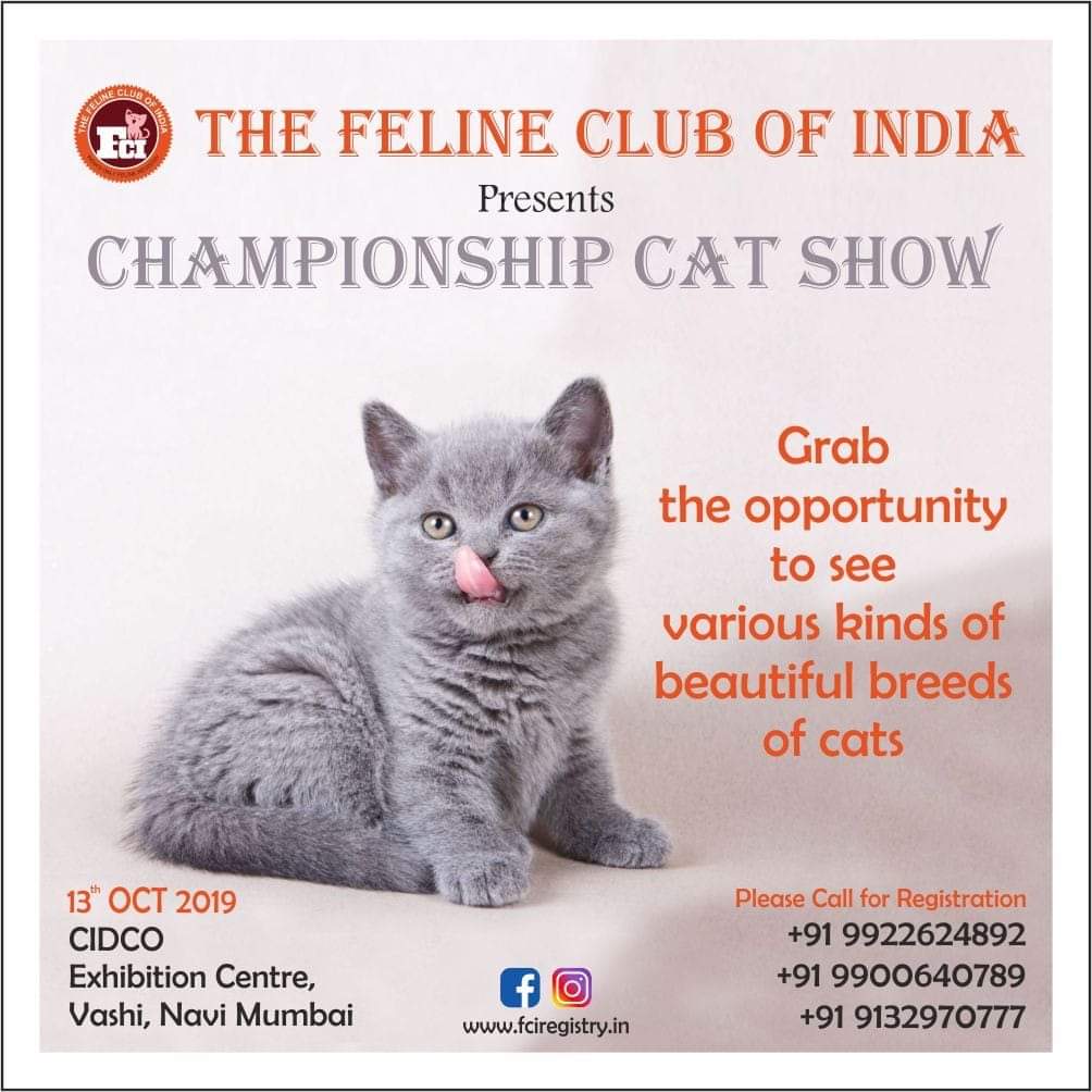 The Feline Club of India tweet media