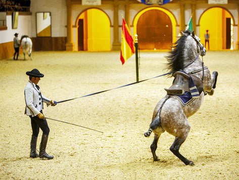 #ViveAndalucia | Por qué Jerez es uno de los mejores destinos españoles para escaparse en otoño elmundo.es/viajes/espana/… vía <a href="/elmundoes/">EL MUNDO</a> #Jerez #Cadiz