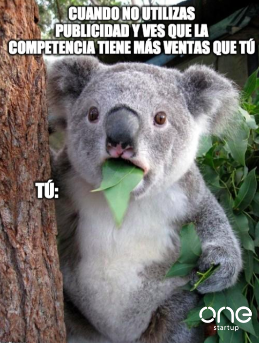 OneStartupMX's tweet photo. ¡No lo pienses más! 🙌🏼 ¡Aumenta tus ventas con las estrategias comerciales que te ofrecemos! 😉🌟
¡Contáctanos! 🙌 🤙🏼 (81) 2556-4070
#Onestartup #Business #Marketing #Negocios #Pymes https://t.co/n6eoMxme5x