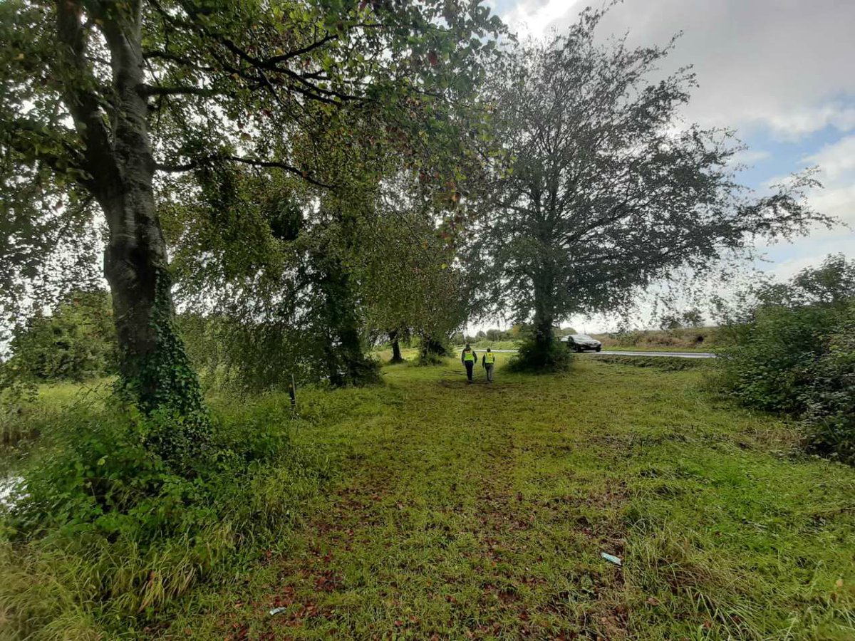 We're out strolling along the Barrow Way, it's so peaceful and it's nice to connect with nature. 🌲🌳
We're looking forward to tomorrow and hope you are too. 

#BarrowWayWalk #BeActive #EuropeanWeekOfSport <a href="/sportireland/">Sport Ireland</a>