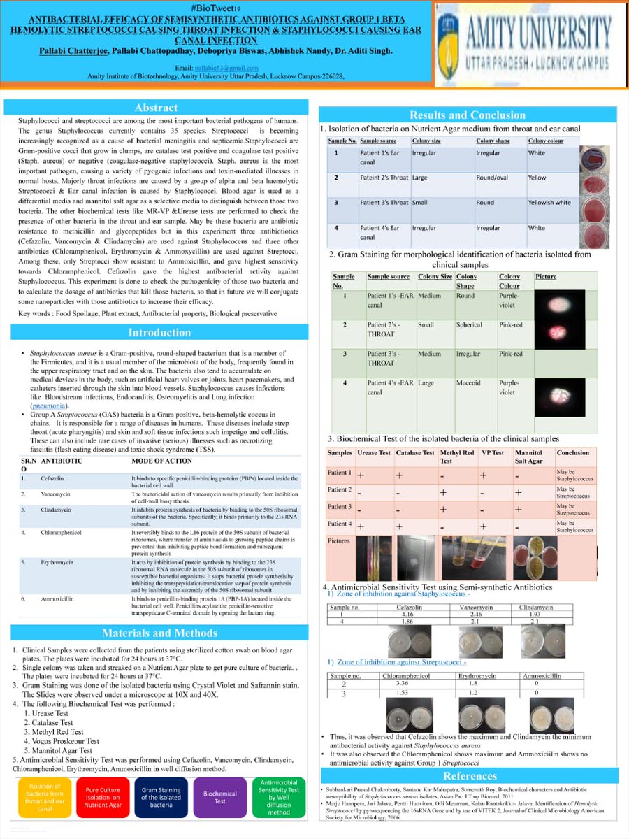 pallabic53's tweet photo. #biotweet19 "Antibacterial efficacy of semisynthetic antibiotics against Group 1 beta heamolytic streptococci causing throat infection and staphylococci causing ear canal infection"#biotweet19 #AIBBioTechSoc @pallabic53 @Abhishe75159086 @RiaBisw35574400 https://t.co/QFFgvBijpA