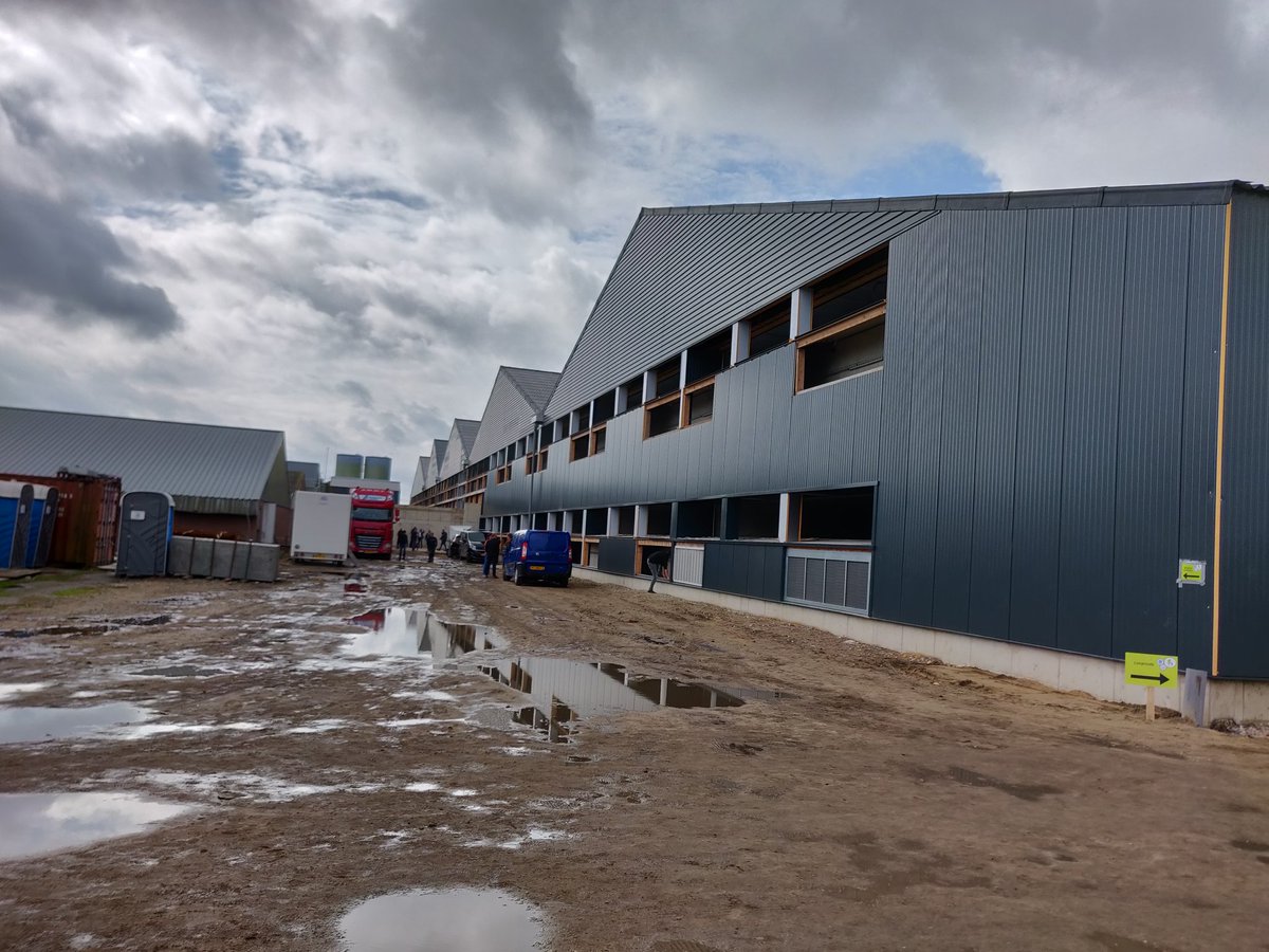porkbusiness's tweet photo. Double floor finisher barn, total 20.000 head. #houbensteyn the Netherlands https://t.co/wEQSKHrSNE