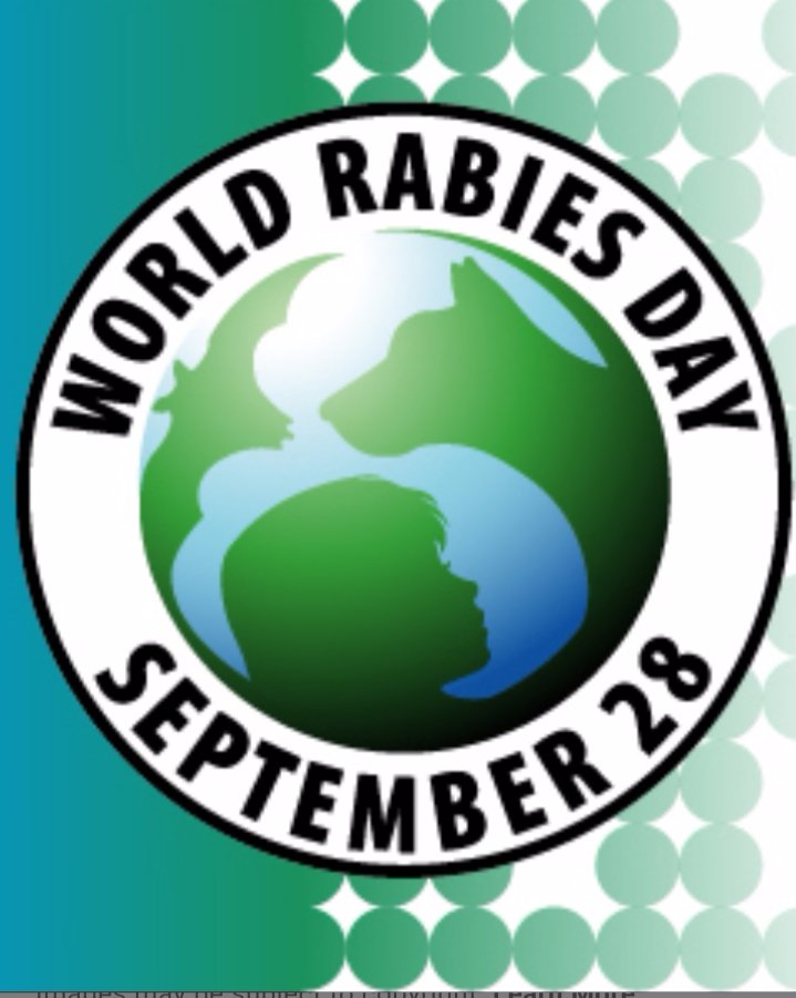 RajaSethu1's tweet photo. @WHO 
@PMOIndia 
@narendramodi 
@MoHFW_INDIA 
@CMOTamilNadu 
@CMOKerala 
@SPVelumanicbe 
@Vijayabaskarofl 
@SumadhuTrust 
@RabiesAlliance 
@EndRabiesNow 
@AgainstRabies 
@MissionRabies 
@gatesfoundation 

#WorldRabiesDay28Sep2019#

@India , Numerous STRAY DOGS are loitering at https://t.co/P3AmVAp8Xm