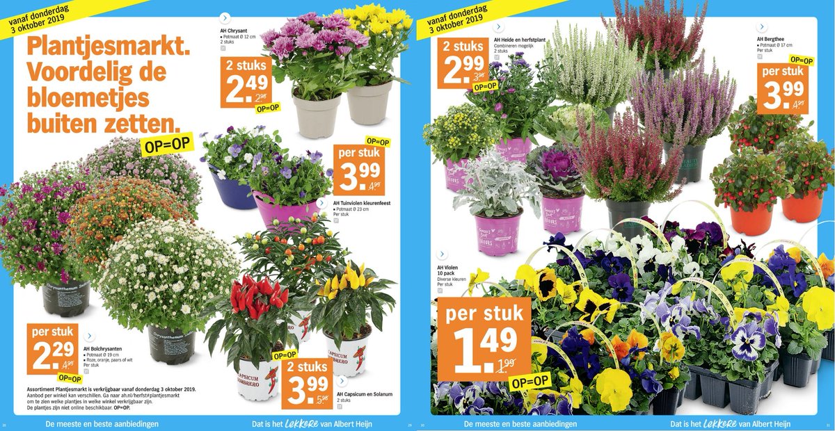 AH Warmond tweet media