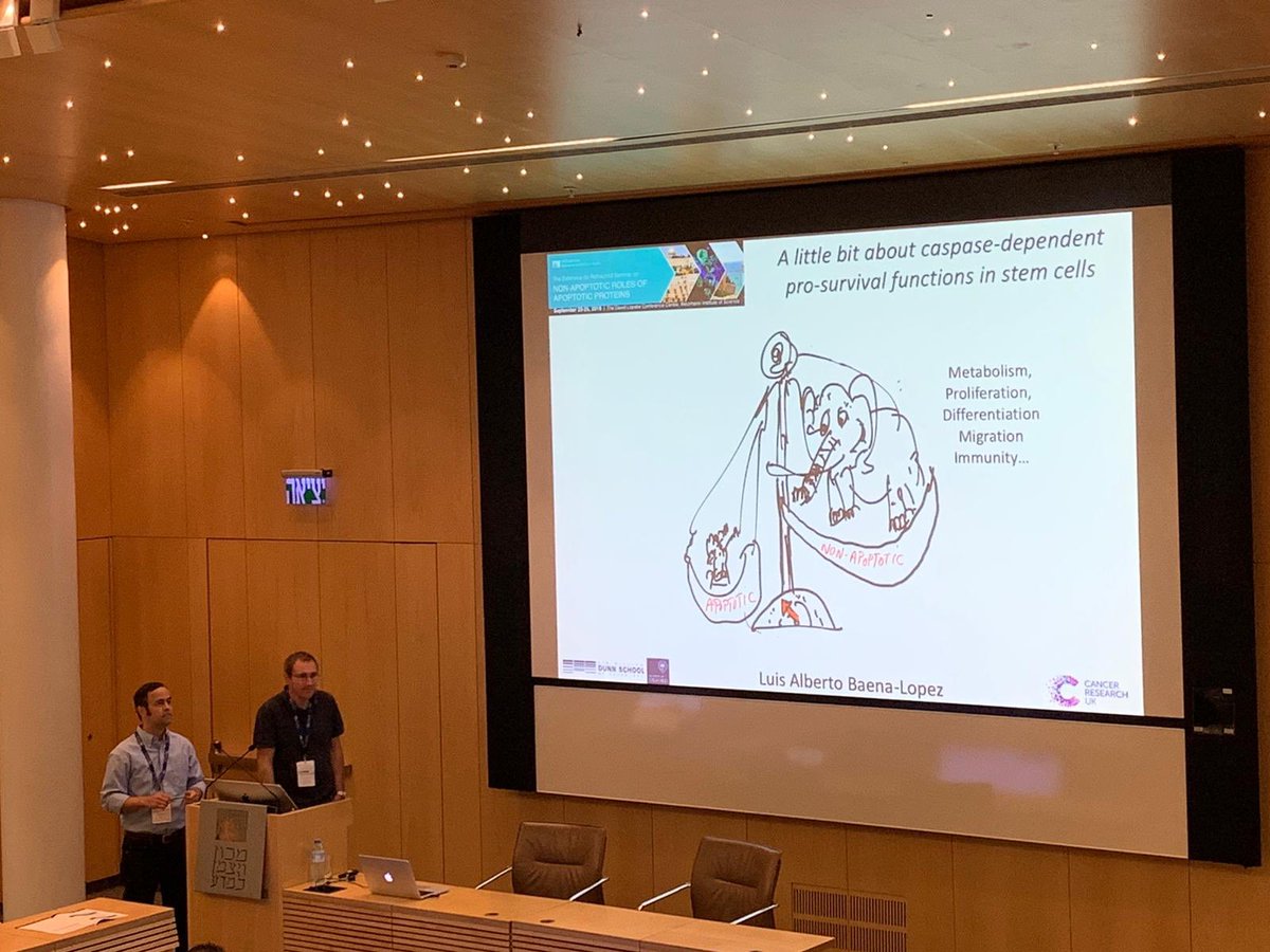 Caspase Lab tweet media