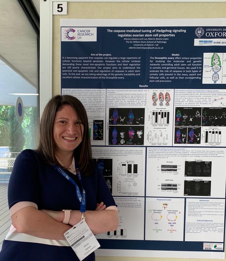 This week we wrapped up a great first ever meeting on The Non-apoptotic Roles of Apoptotic Proteins, where we presented some work from our lab, and our favorite postdoc Dr. Alessia Galasso <a href="/ale_gal79/">ale gal</a> won a another poster prize for her work! 2/2 this year :)