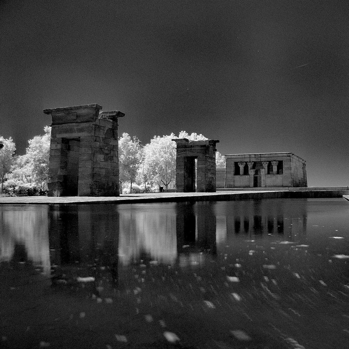 Debod temple in Madrid #madrid #infrared #bnw #madridmemola #infraredphotography #bw #igersmadrid #monochrome #bnw_society #spain #bnw_captures #españa #blackandwhitephotography #ig_madrid #themadridbible #bnw_life #bw_lover #madridista #bnw_planet #ok_madrid #bw_society