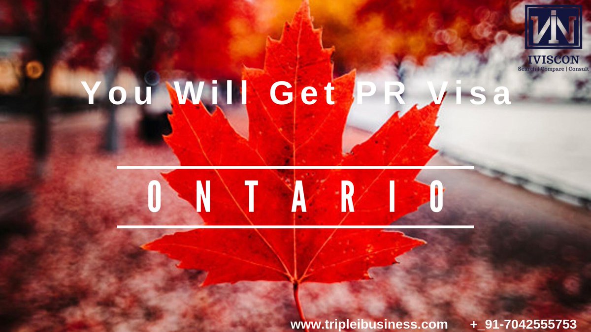iviscon's tweet photo. You will get the #PRVisa trough #PNP program in #ontario #iviscon will help you find the best #immigration_Lawyer and #immigration_consultant. Apply https://t.co/Sejn1kueEs  and for more #information call us 7042555753 #visaconsultant #immigrationconsultant  #canadaimmigration https://t.co/7t1m7TSQzp