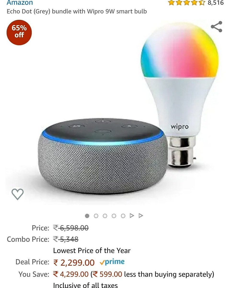 echo dot with bulb