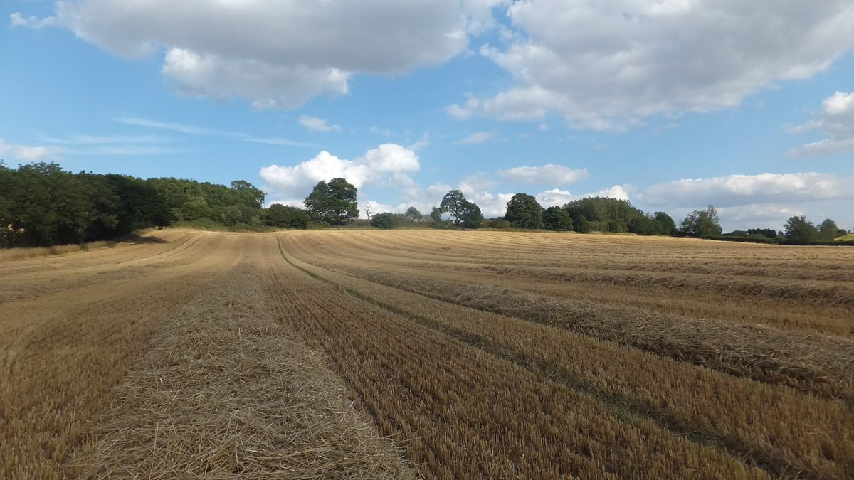 Ownsworths's tweet photo. #BritishFoodFortnight What it means to be a farmer The ups & downs of farming #rain #storms #snow #drought #lowcropprices #politics #foodtrends #goodprices for #crops #heritage #nature #feedingthenation #passion #pride in doing a good job #BritishFoodisGreat @LoveBritishFood https://t.co/LJJlCBecPs