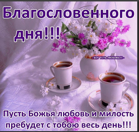 Про овцу, доброе благословенное утро открытка