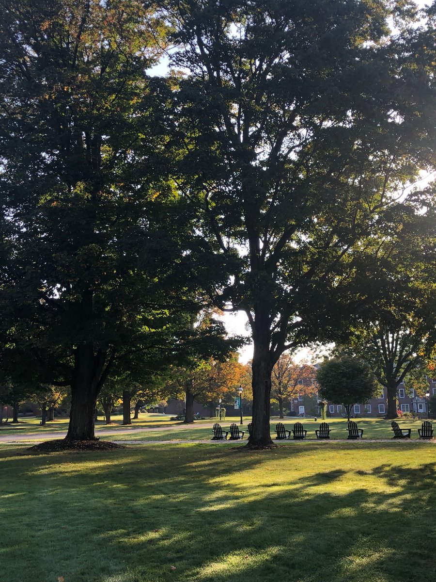 Hill3Williston's tweet photo. Perfect morning light β¦@WillistonNSβ© on a #GreenSaturday #GoWildcats #sleepinlate https://t.co/PNXlf4QTXE