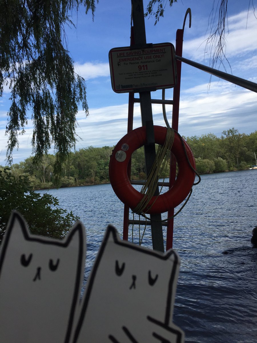 The #GhostCats don’t need a floatation device! They already float!