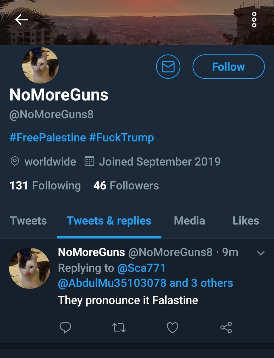 SRMandeles's tweet image. I gotta quote @HenMazzig here: "Only 4 tweets until a conversation with Palestine/anti-Israel activists turns real..."

#Legitimatecriticism all day every day 🇵🇸

#notantisemitic