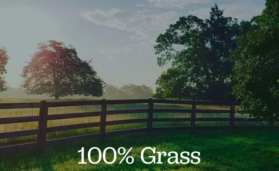 American Grassfed tweet media