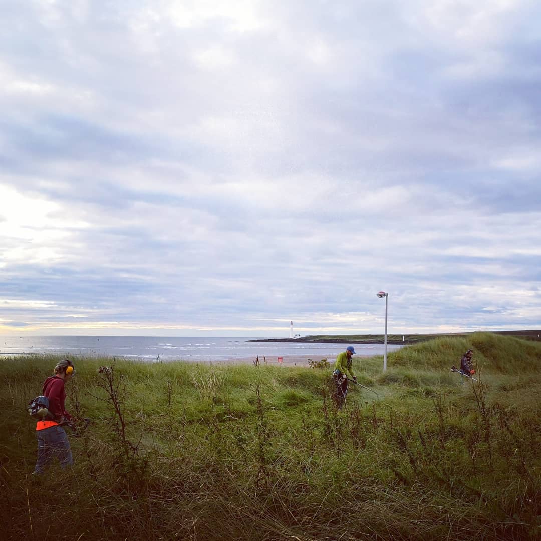 mocross_'s tweet photo. Crack team of @MontveloCC volunteer strimmers, mowers, clippers and diggers turned up this morning to clear a path for MoCross. Course is looking good and the #bestsandpitever is ready! #mocross #scx #scottishcycling #adayatthebeach #MoX #montvelo #montrose #crossiscominghome https://t.co/2B6HGEmhUH