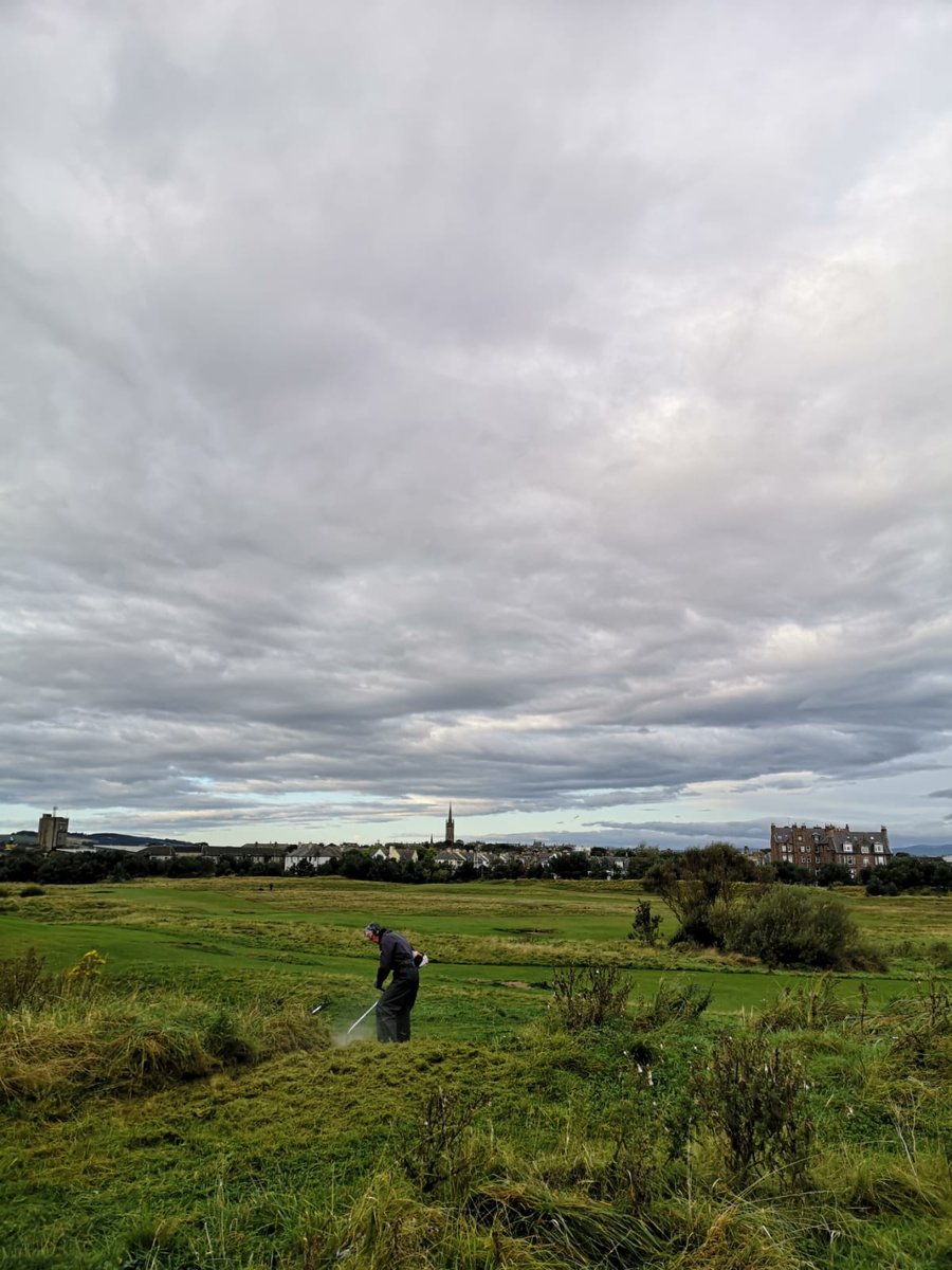 mocross_'s tweet photo. Crack team of @MontveloCC volunteer strimmers, mowers, clippers and diggers turned up this morning to clear a path for MoCross. Course is looking good and the #bestsandpitever is ready! #mocross #scx #scottishcycling #adayatthebeach #MoX #montvelo #montrose #crossiscominghome https://t.co/2B6HGEmhUH
