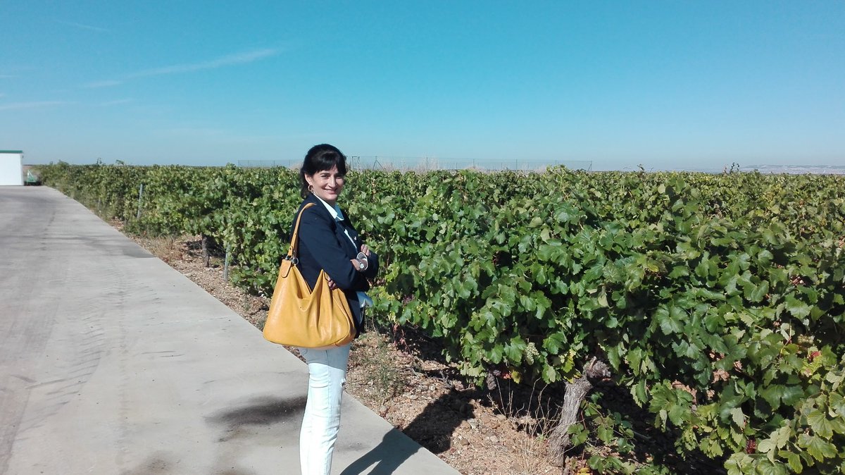 JesusGo100269's tweet photo. @ValladolidESDXT @bodegasteodoro Magnífico trato.
Excelente experiencia la vivida esta mañana.
Muchisimas gracias Roberto por la explicación de todas las fases de la vendimia y de la bodega, ha sido un placer escucharte como y con que pasión nos lo contabas.
Magnifica bodega y mejores profesionales.
 GRACIAS !!! https://t.co/chREi0XSXc