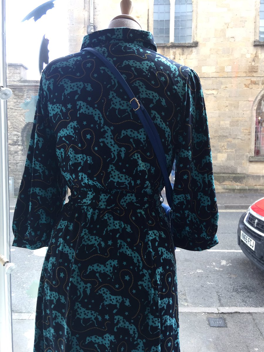 RETeacherSue's tweet photo. Saw this in @roseandlyons today #bruton and thought of you @darty_sp #everythingequine #shoplocal https://t.co/xOOlCOagSz