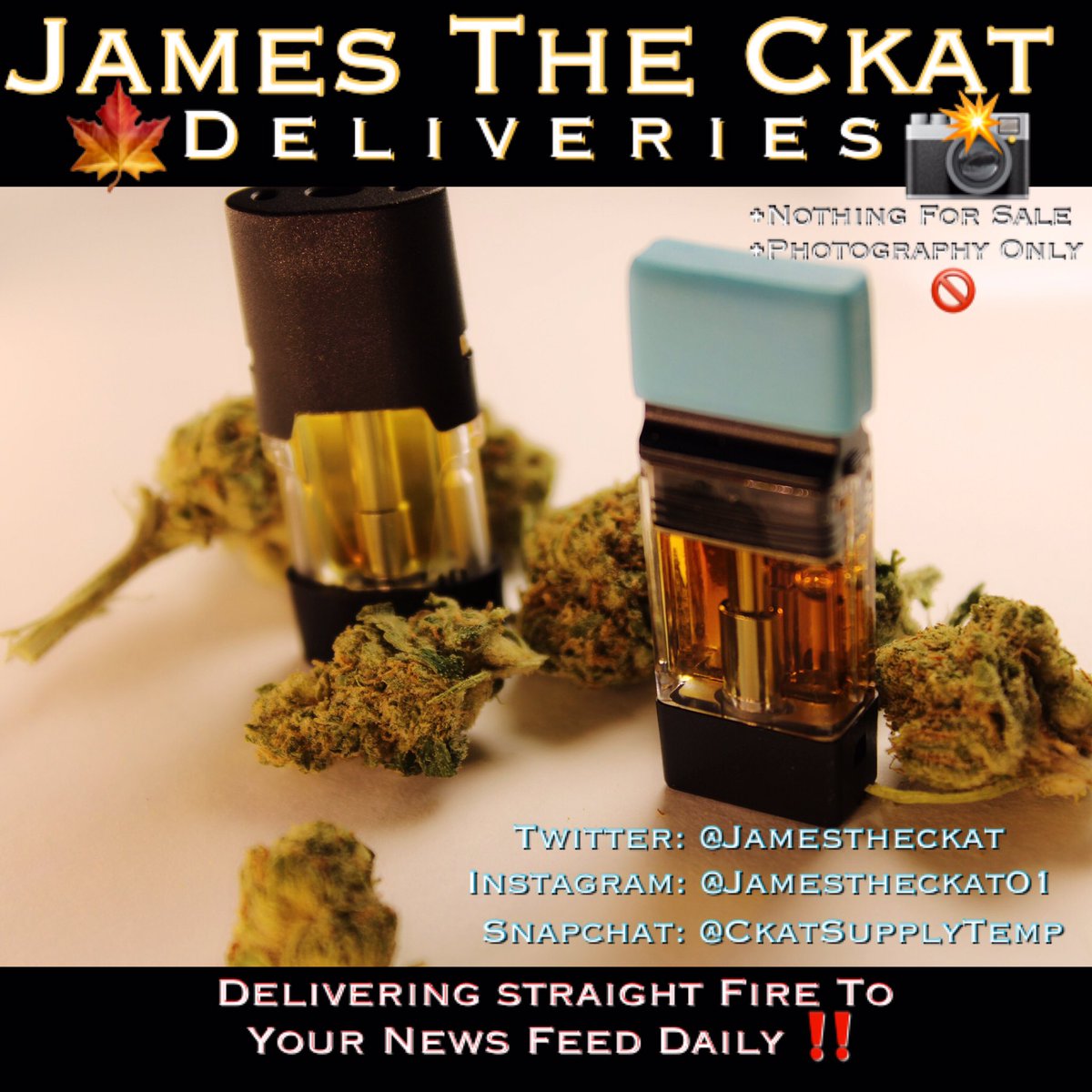 jamestheckat's tweet photo. Spread The Word ‼️ Nothing But Heat 📸🔥🍁 https://t.co/7vpPn9RE1s