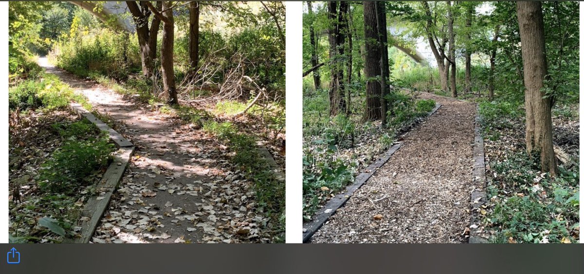 Holliday Park tweet media