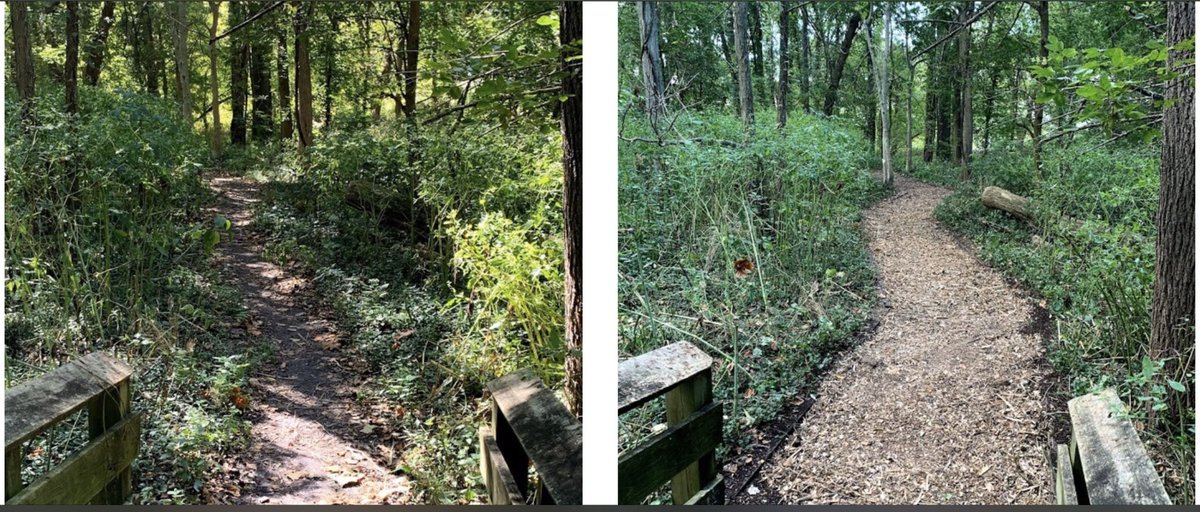 Holliday Park tweet media