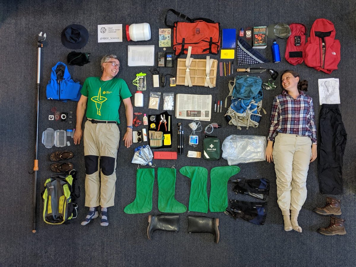 Edeline Gagnon tweet media