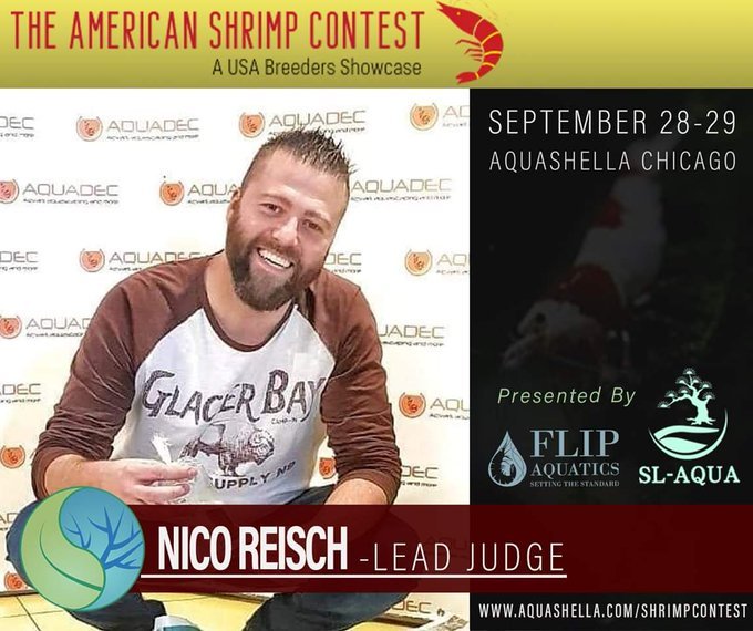 mr_hackquarium's tweet image. 🇫🇷♥️🦐 Un Français à Chicago 🇺🇸 

Nicolas Reisch, dont on vous a déjà parlé sur le blog #hackquarium est juge pour le concours américain de #crevette à #aquashella ce week-end 
👏

#shrimpkeeping #shrimpbreeding #shrimpcontest #TheAmericanShrimpContest #fishtube