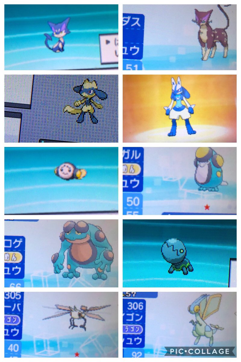 違い シールド の ポケモン ソード と