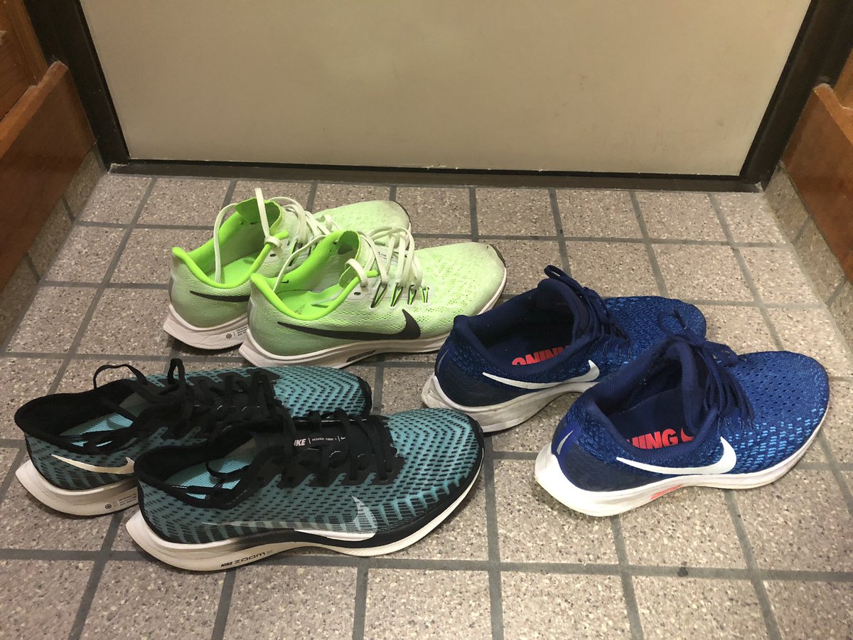 ズーム ペガサス ターボ 2