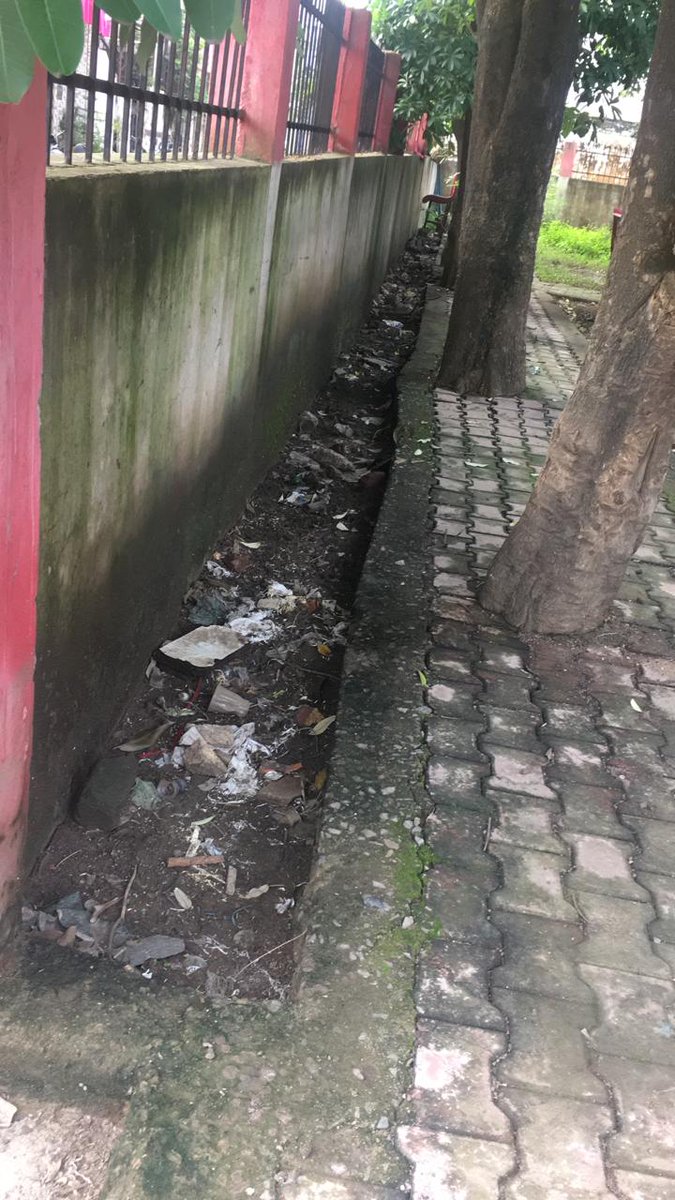 Bunch_Fools's tweet photo. Spot No-276
Guys let's meet tomorrow morning 6 am... Near Tanishq Jewellers, New Rajendra Nagar, Raipur
#refuse_single_use 
#bunchofools
#safaigiri
#Save_Earth
#zerowaste 
#Sustainable #sustainability 
#Ecofriendly
#Noplastic #saynotoplastic
#Plasticfree #Plasticfreelifestyle https://t.co/9xHIYXUznz