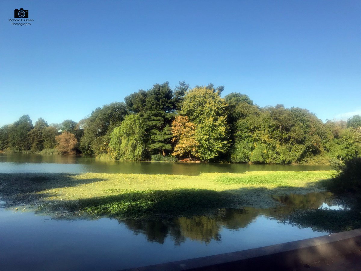 South Brooklyn the Lovely #shotoftheday