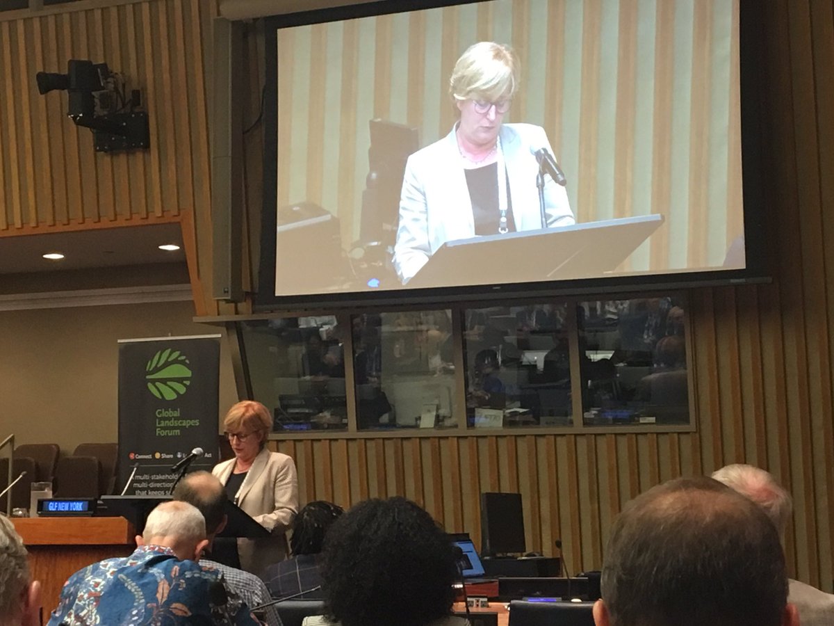 IUCN_forests's tweet photo. AT #GLFNYC2019 listening to Christiane Paulus from @bmu and @andersen_inger highlighting the #BonnChallenge and the new #ECCA30 as successful examples that need to be built and rallied upon for the Decade on Ecosystem Restoration #restoreforward 
Visit https://t.co/9fquS6YvzI https://t.co/dLnivMFf56