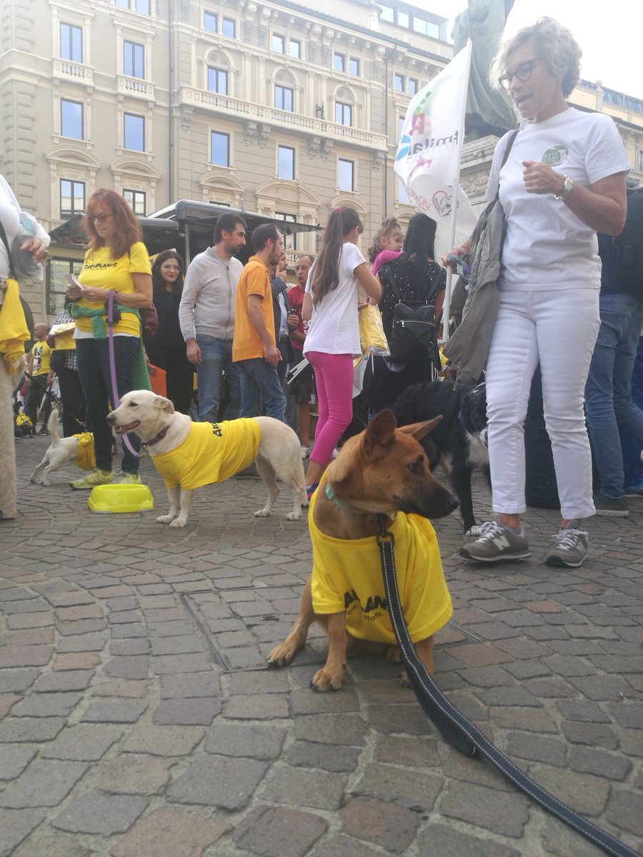 Mylandog's tweet photo. #milanopetpride per la prima #MilanoPetWeek #PetsInTheCity #noicisiamo @Arcaplanet https://t.co/bVnzkudiKs