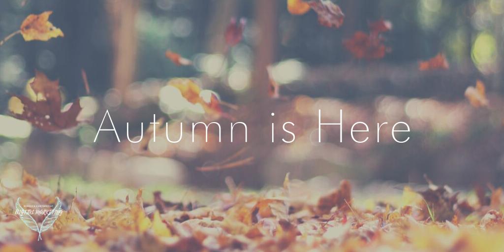 RCDigital_co's tweet photo. It's now officially Autumn! Get ready for pumpkin spiced lattes, chelsea boots, rainy dog walks and a brand new social media stratergy!☔️😊 Check out this article for some tips on where to get started... https://t.co/OJSzdDVM1o https://t.co/7bRtlaqVh7