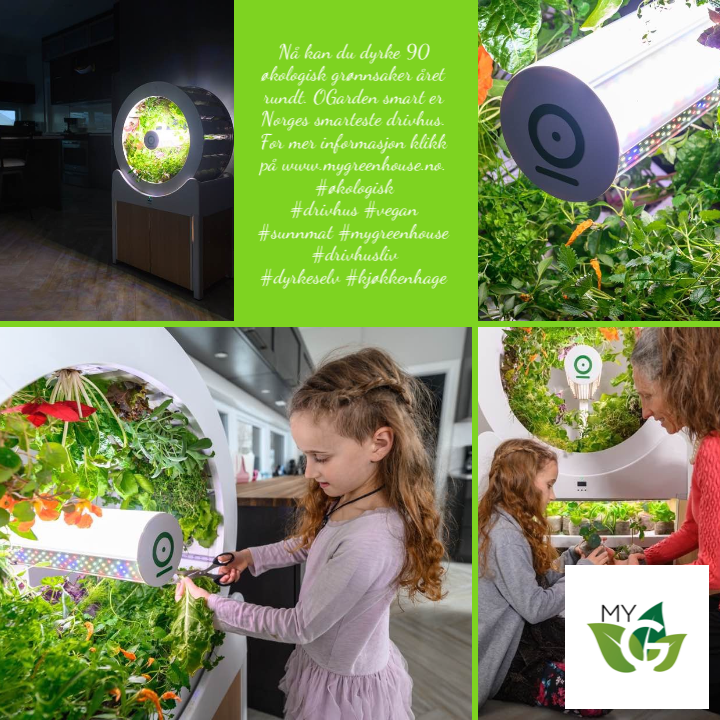 My Greenhouse tweet media