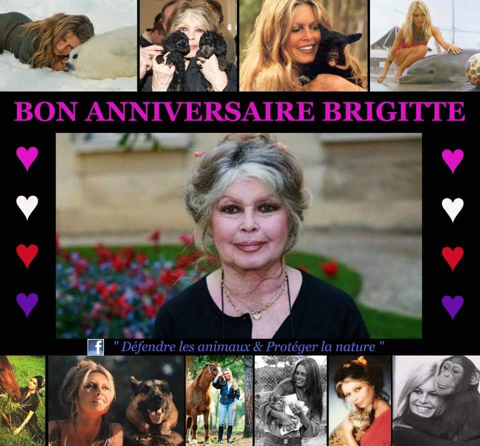 Happy birthday brigitte bardot 