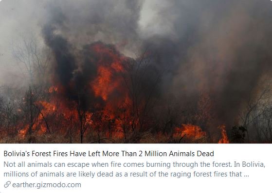 This is what the  #ClimateEmergency looks like in  #SouthAmerica right now."... more than 2.3 million animals perished in fires burning in protected forest and grassland areas, such as the tropical savannas of the Chiquitania region in eastern  #Bolivia." https://earther.gizmodo.com/bolvias-forest-fires-have-left-more-than-2-million-anim-1838492071