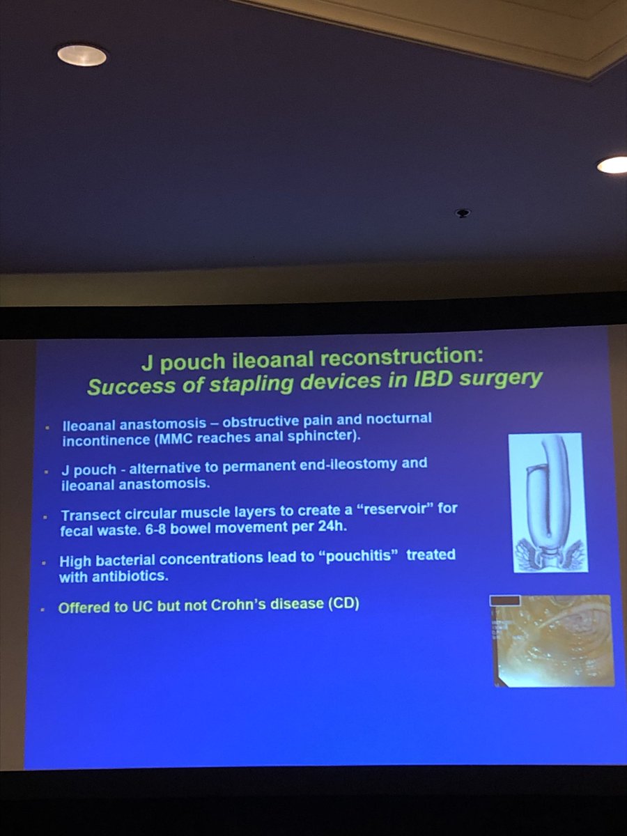 Majdoline Jayoushe, MD tweet media