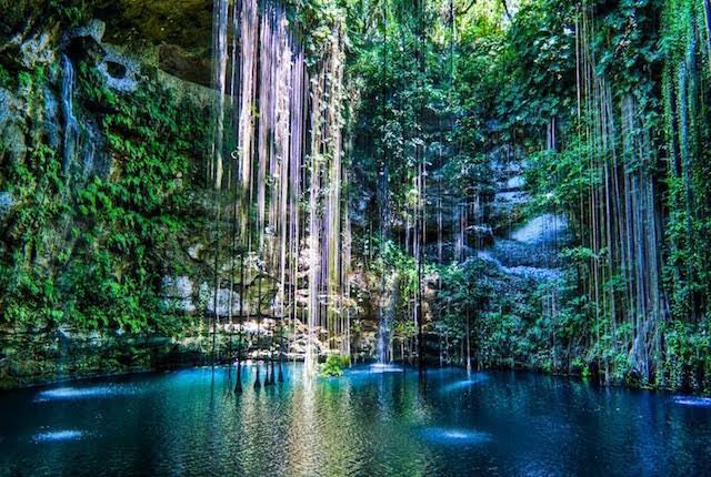 Dream 21/50 Swim 🏊‍♂️ in Cenotes. #livingmydreams #lovingmydreams