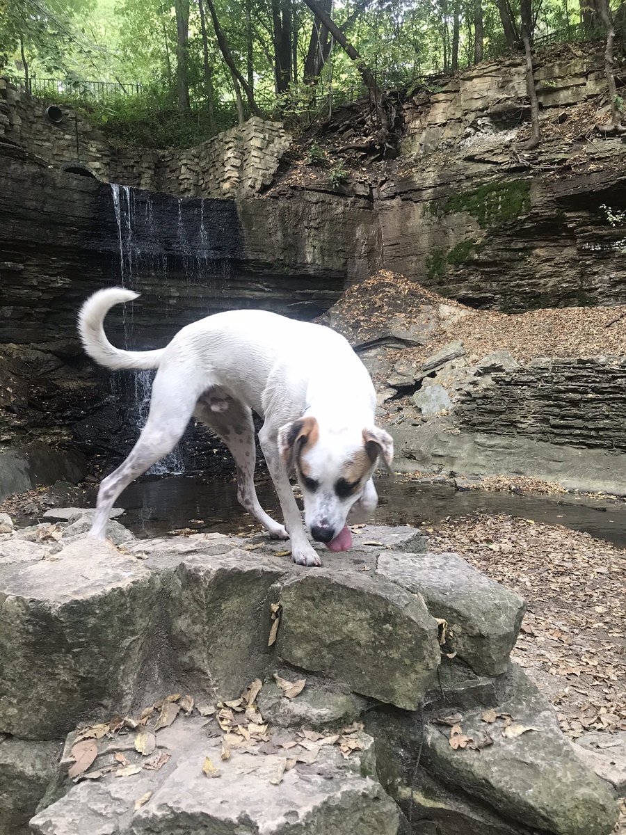 libbyjkantner's tweet photo. Rolling into the weekend like... ima gonna lick this rock. https://t.co/VfJ3RboHSq