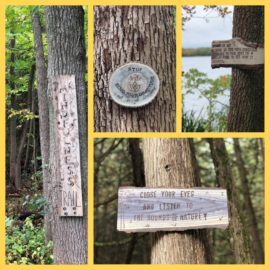 The Mindfulness prompts created by Gr. 9 &amp; 12 students ⁦<a href="/LakefieldCS/">Lakefield College</a>⁩ are now posted on the 1 &amp; 2 km hiking trails! Just in time for alum to experience a wellbeing boost in nature! #lcsHTTG #OutdoorsEveryDay #LCSthrives