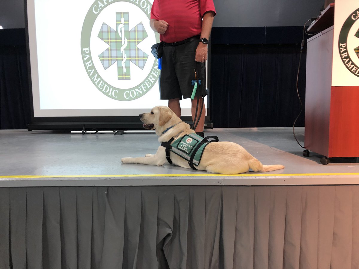 CBConference's tweet photo. That’s a wrap on #CBPC day 2 speakers. But not before meeting Chance, a CIAD therapy dog in training! Thanks to everyone who presented and for all the great conversation had! See everyone tomorrow! #SecondChance https://t.co/3LXI3wS0Gl