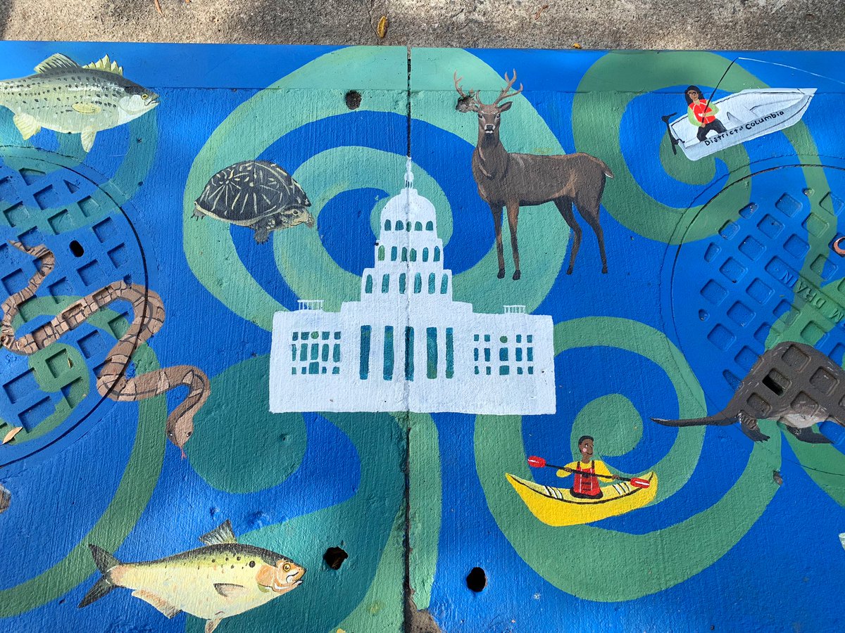 dcwater's tweet photo. Closing out our #CoolArtsCleanRivers contest and @MayorBowser #202Creates month with our last winners mural! The theme, “All Things River Health” 🚣🏾‍♂️🐢🐟🦌🐍! Congratulations Mackenzie who by day, works at @DOEE_DC helping to keep our river clean💧. https://t.co/wTi21utjo1