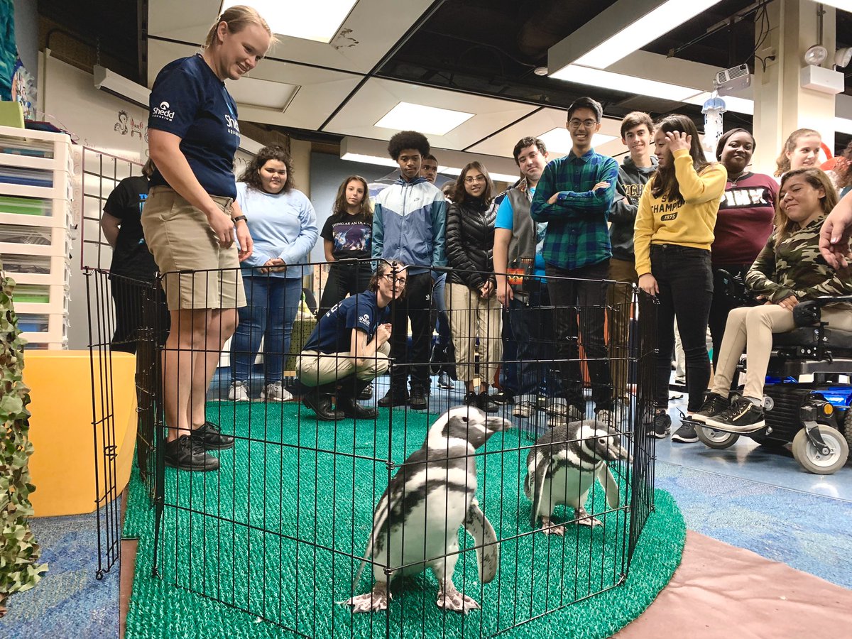 SheddLearning's tweet photo. #SheddTeenWorkStudy starting off the season by meeting two Magellanic penguins during team-building day! https://t.co/sMagG44F0m