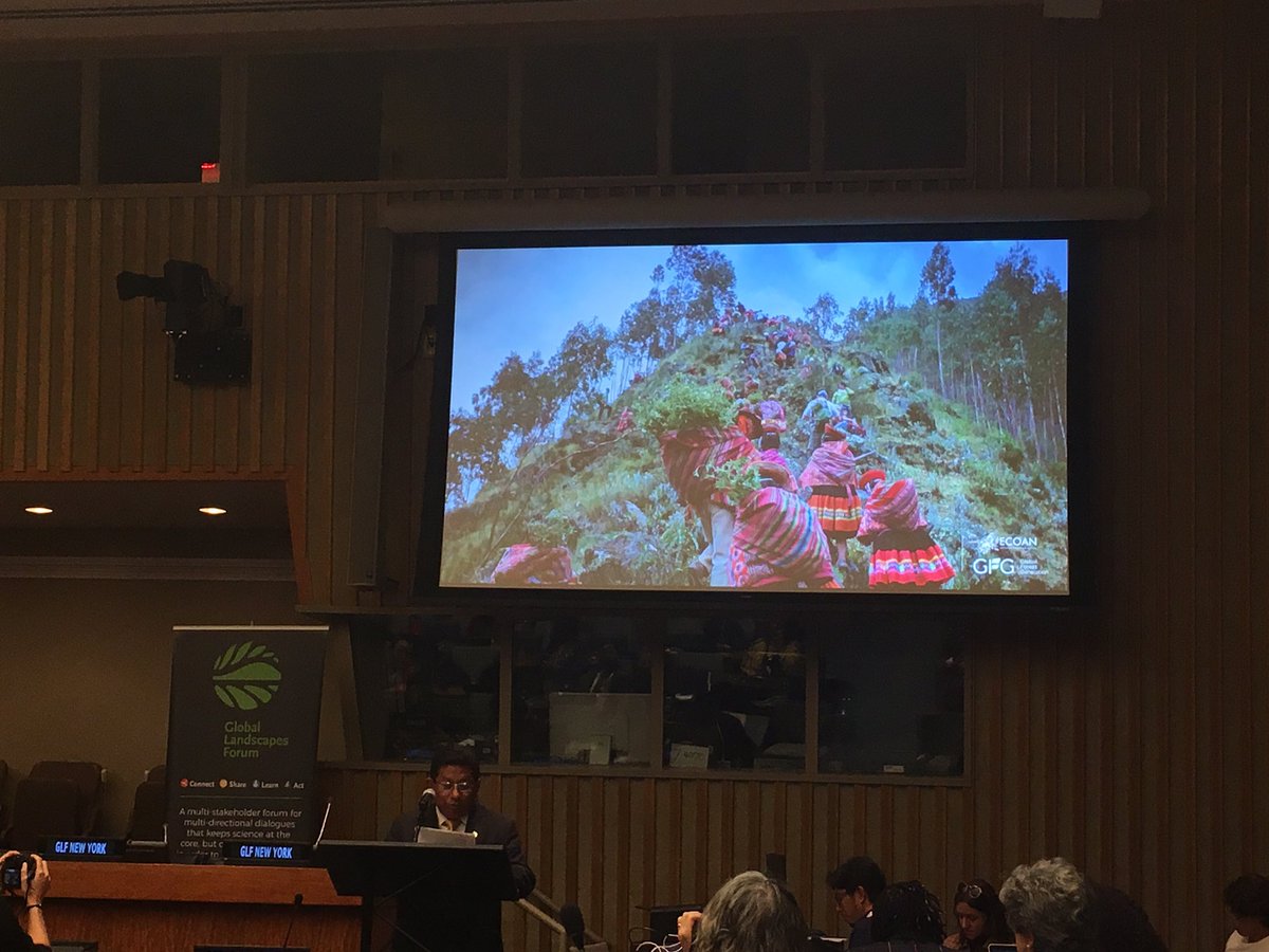 MauricioNunezO's tweet photo. #globalforestgeneration lead implementer Tino Aucca, setting the path for #accionandina on 3 Andean Principles; Ayni, Minga Mita. Work toguether!! Today for me, tomorrow I help you. Even inter-communities collaboration. #GLFNYC2019
#ThinkLandscape
#RestorationDecade @GlobalLF https://t.co/ppRbOk4ZK1