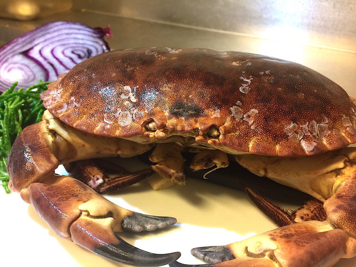 Un bel granchio 🦀