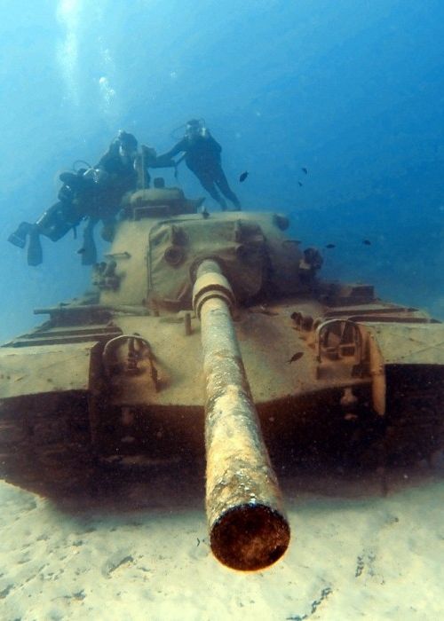 12 - 13 Ekim Kaş Dalış Turumuz ve 5 Ekim Temel Seviye Kursumuz - mailchi.mp/3104dfff22f7/1…