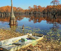 VisitMetter's tweet photo. Spend your weekend in Metter or take on an adventure and head to George L. Smith State Park to enjoy the outdoors! https://t.co/8mrvsK4MM2