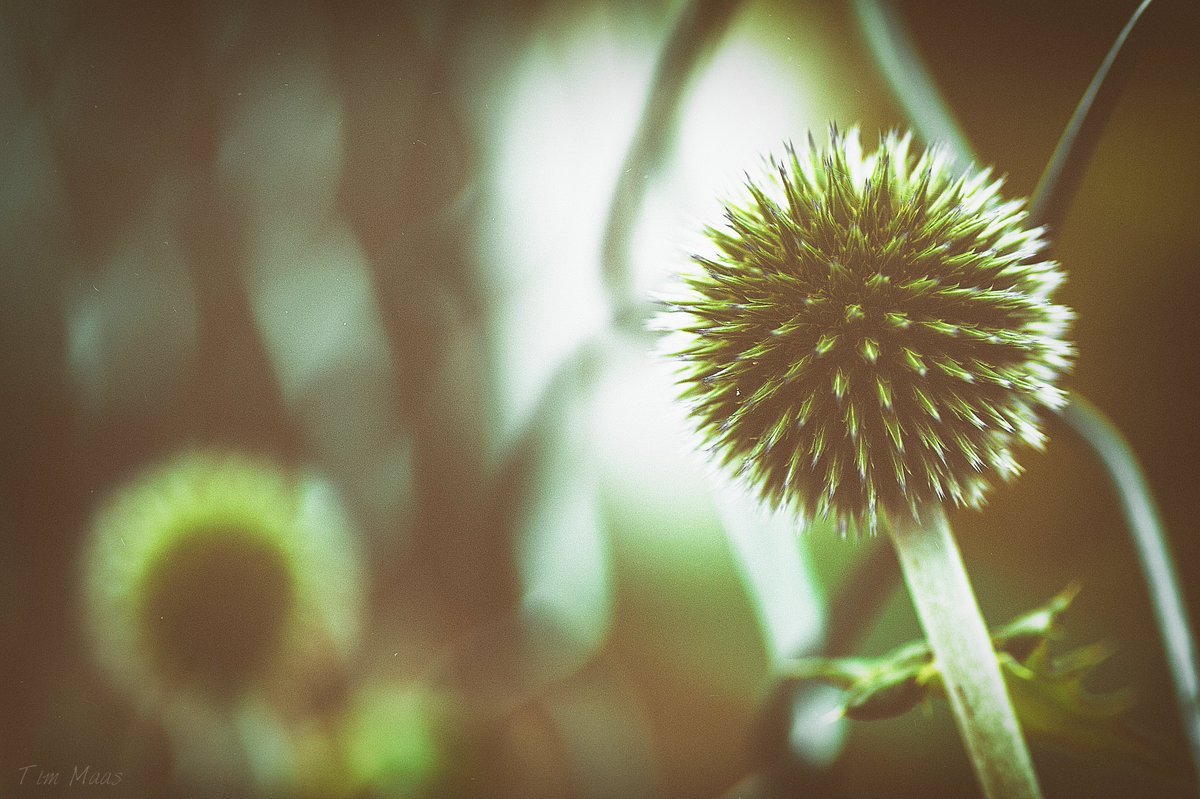 Jedes Herz hat seinen geheimen
Kummer,
den die Welt nicht kennt,
und oft nennen wir einen
Menschen kalt,
während er nur traurig ist.

Henry Wadsworth Longfellow (1807-1882)